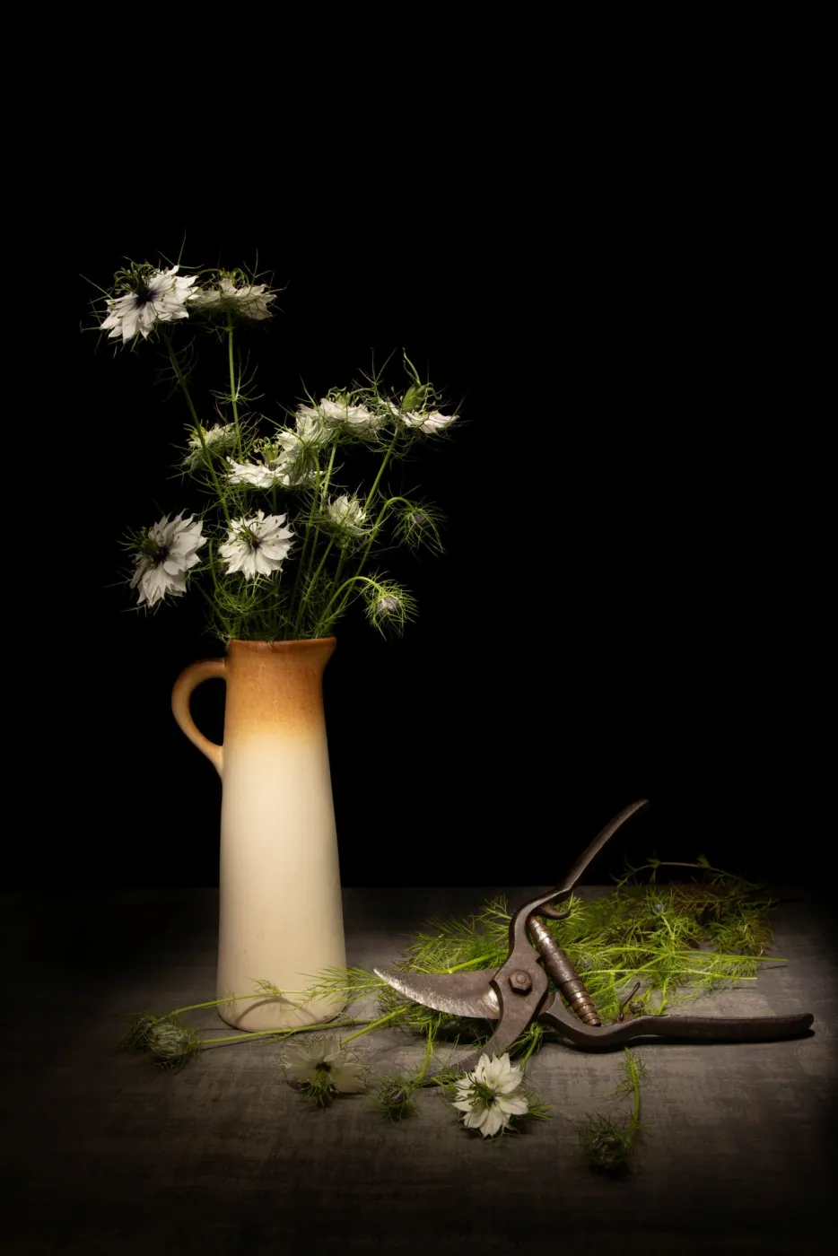 Nature morte
