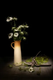 Nature morte