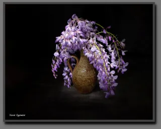 Glycine