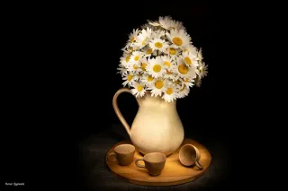 Bouquet de  marguerite en nature morte