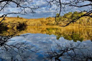 Reflet sur la rivière du belon
