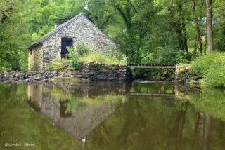 Moulin