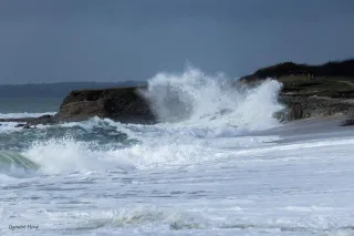 Mer