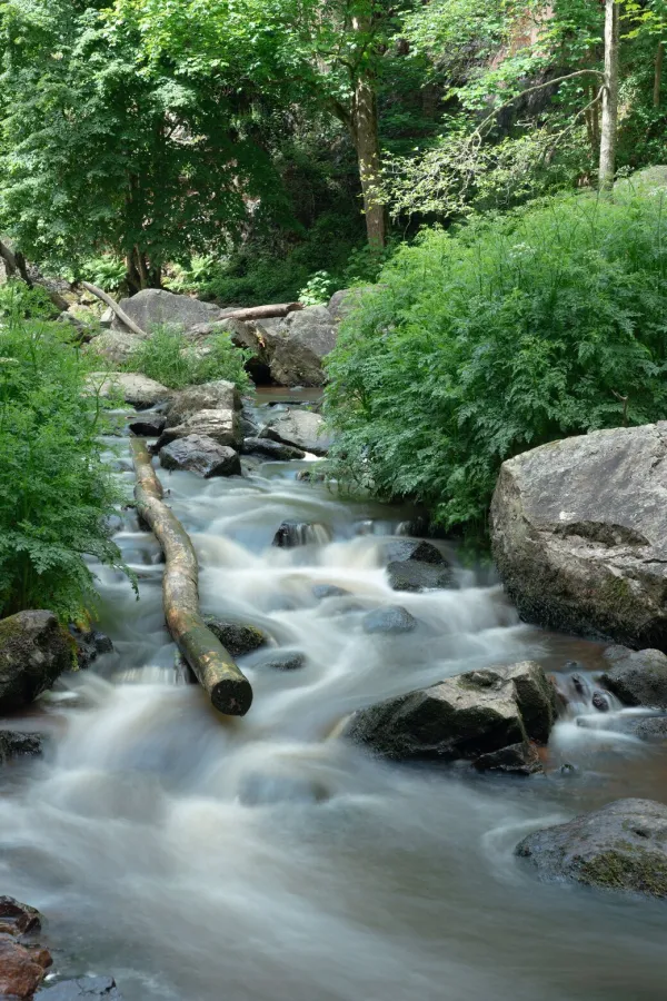 Au fil de l'eau