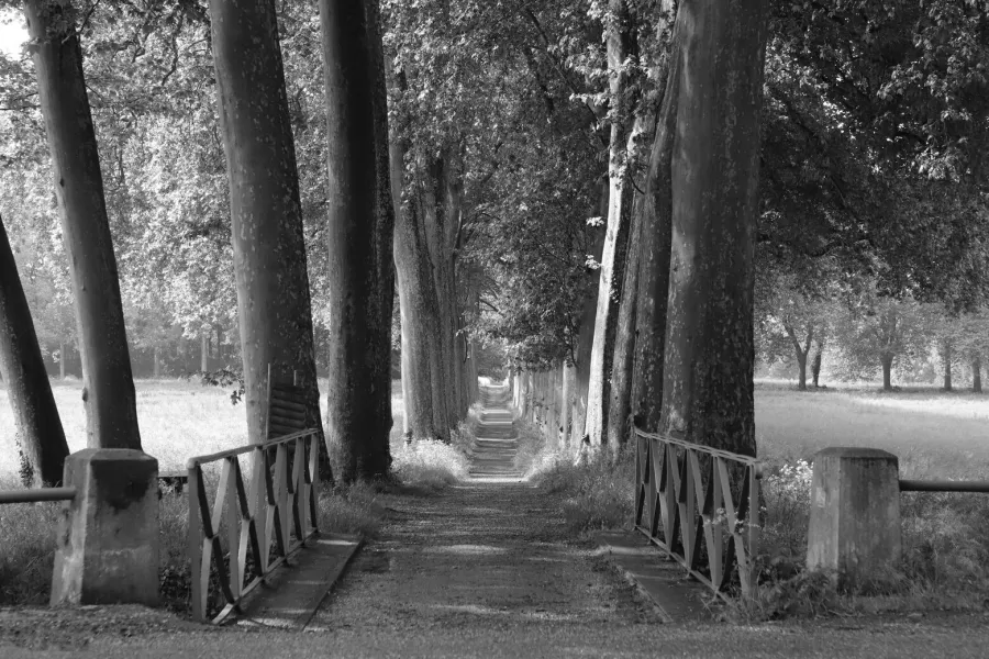 Chemin