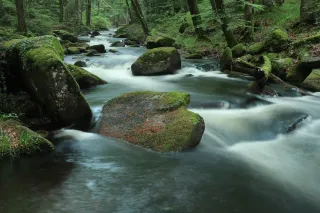 Au Fil de l'eau