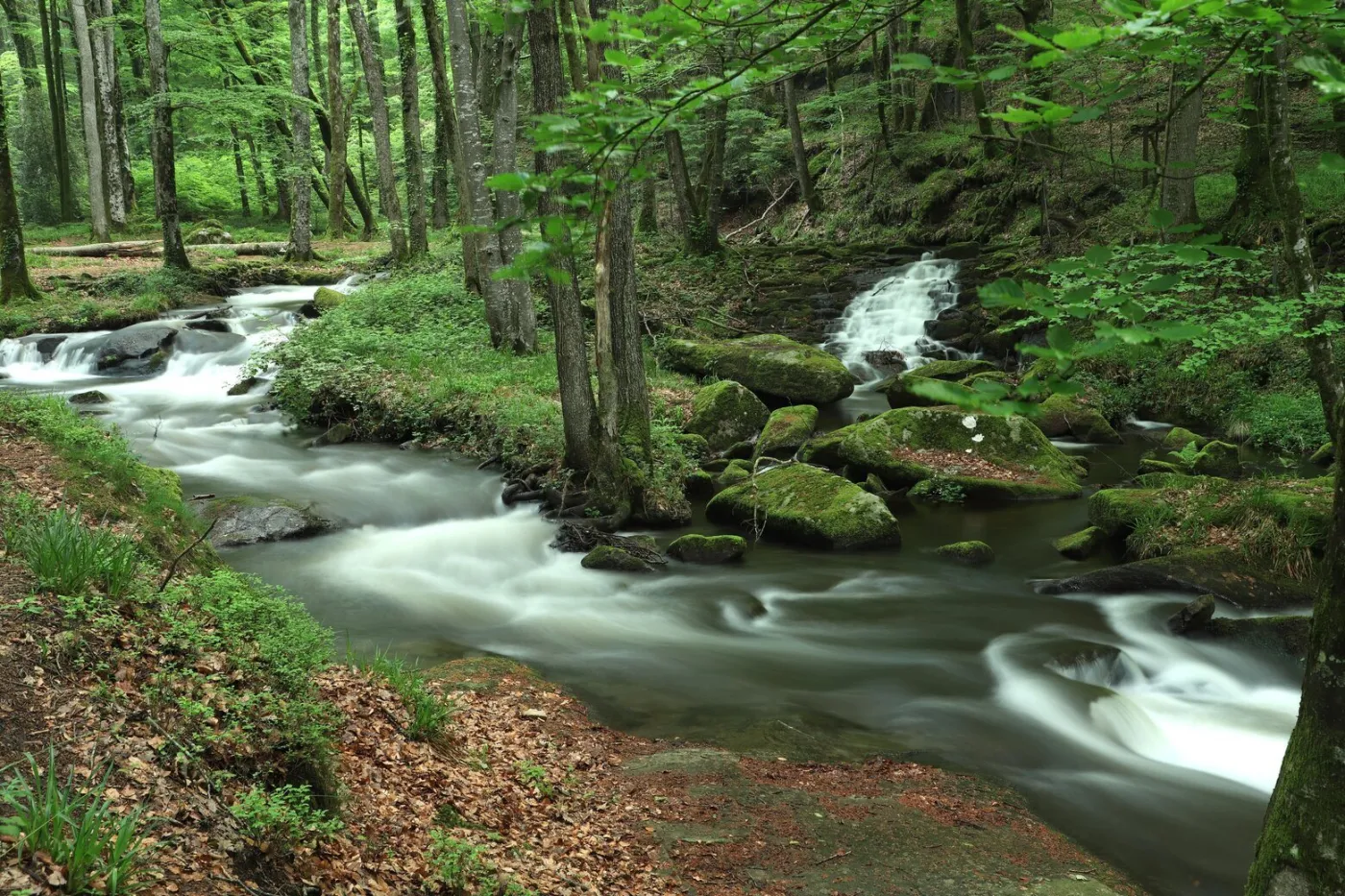 Au Fil de l'eau