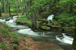 Au Fil de l'eau