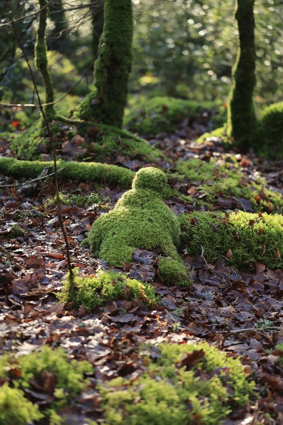 Mousses sculptées