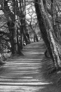 Chemins