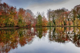Plan d'eau en reflet