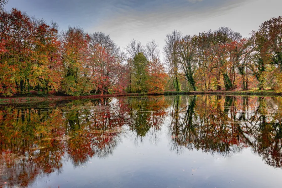 Plan d'eau en reflet