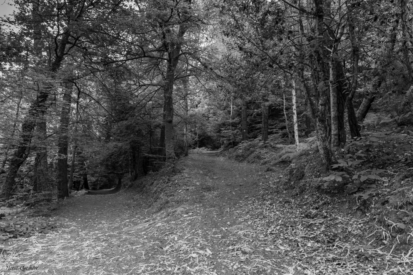 Chemin