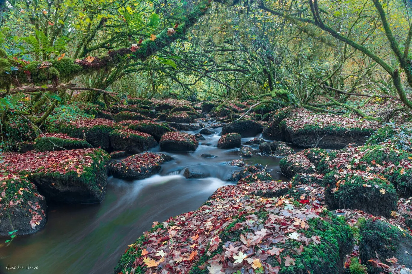 Cascade